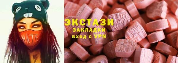 индика Саяногорск