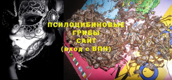 амф Абинск