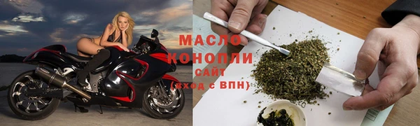 индика Саяногорск