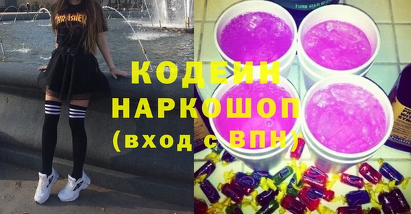 индика Саяногорск