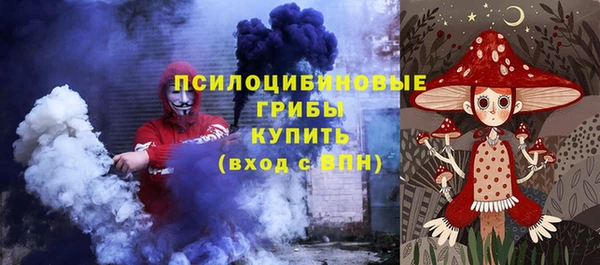 индика Саяногорск