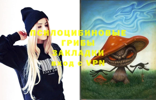 амф Абинск